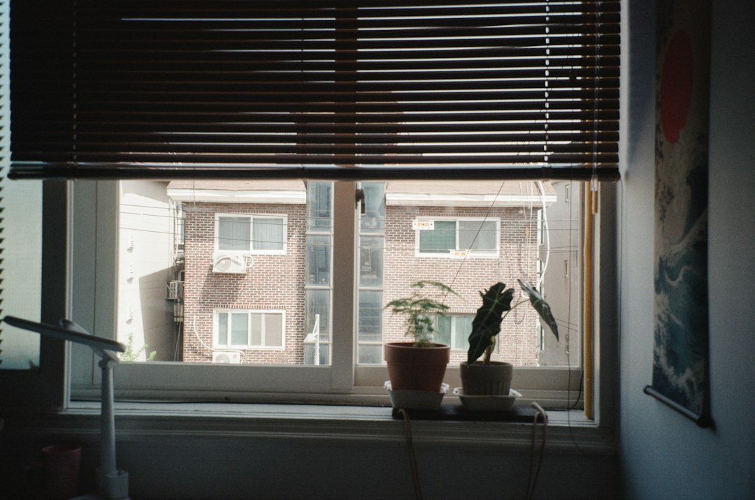Rental interior window with blinds letting in natural light
