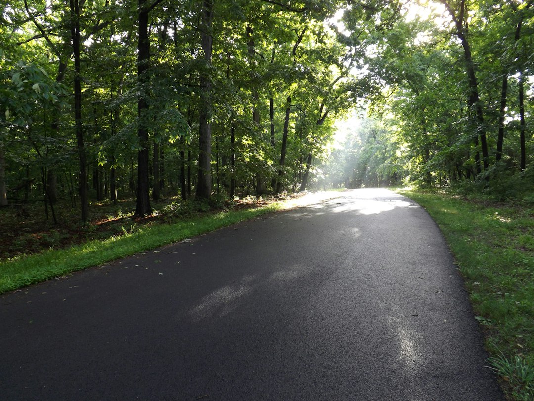 444 Miles, No Billboards: Driving the Natchez Trace as the Leaves Let Go
