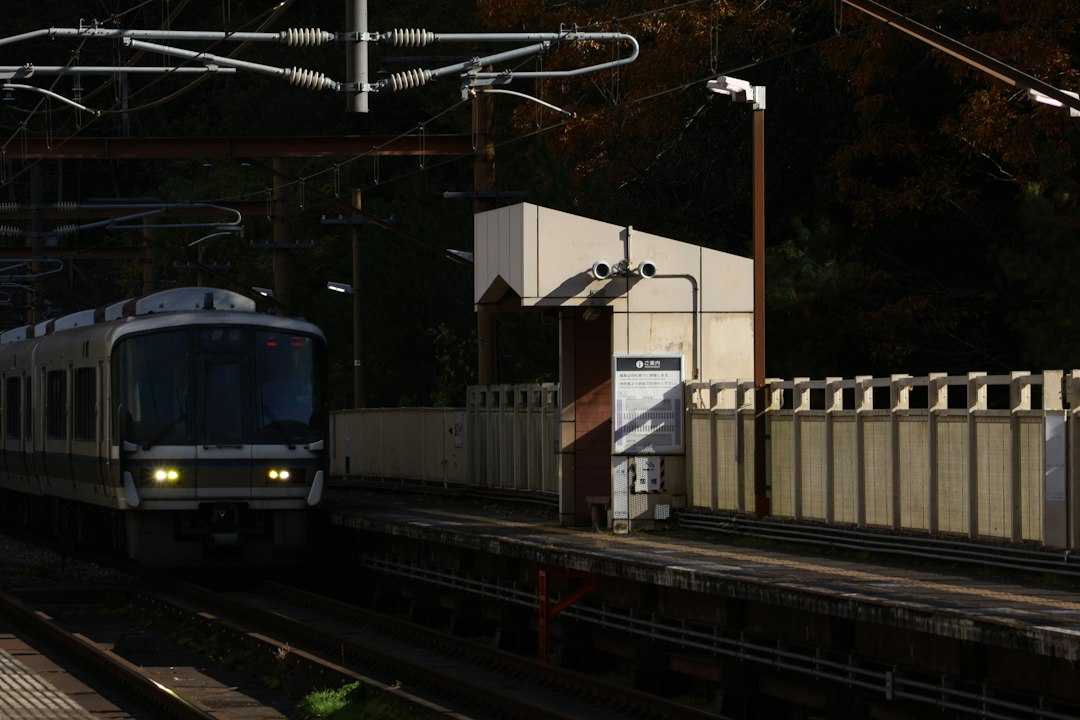 Train at a platform beneath autumn trees