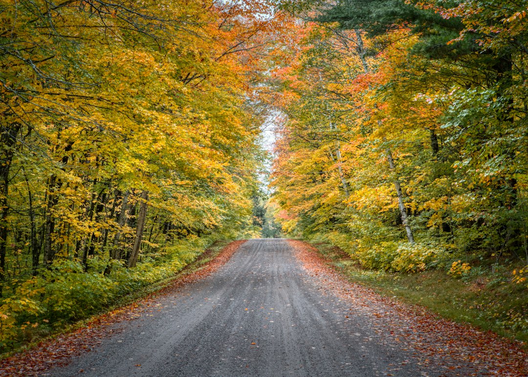 Rural Wisconsin road lined with autumn foliage