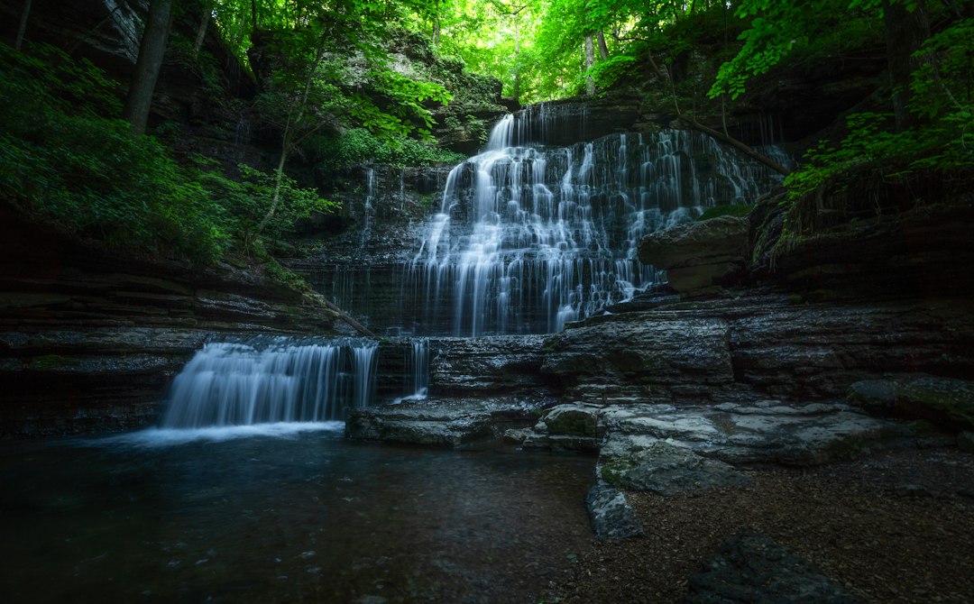 A tiered waterfall tumbling over limestone ledges in a green forest