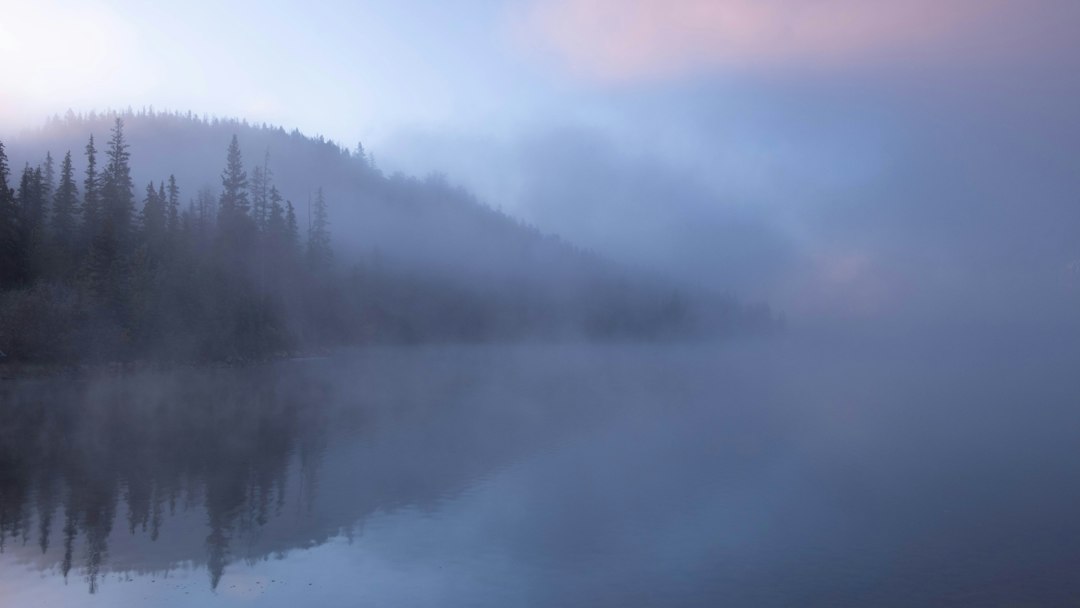 Fog rising off a lake at sunrise with silhouetted trees