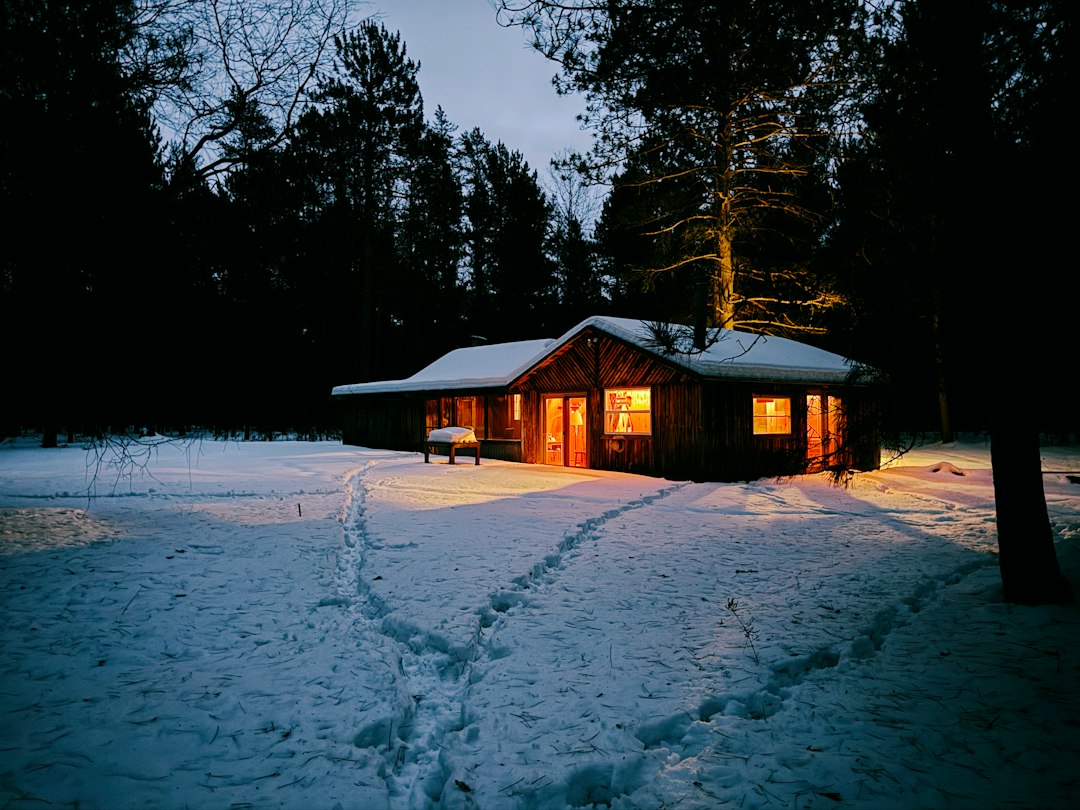 Historic wooden cabins in a snowy forest clearing