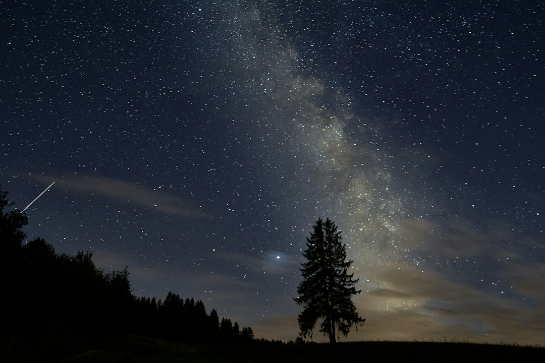 The Milky Way arching over a silhouette of trees at night