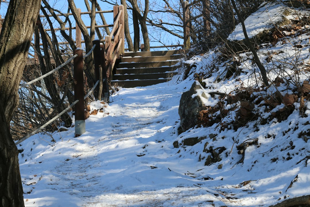 Snowy woodland stairs and bridge on a winter trail
