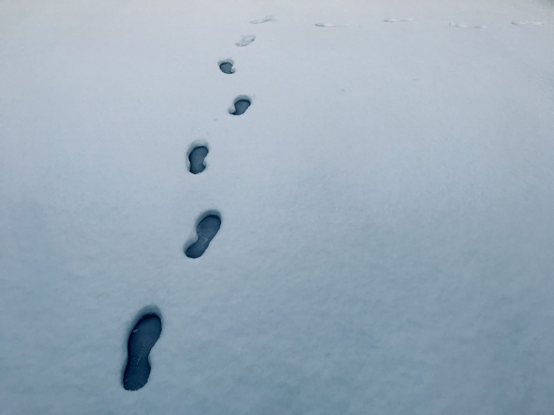 A single line of footprints leading into fresh snow