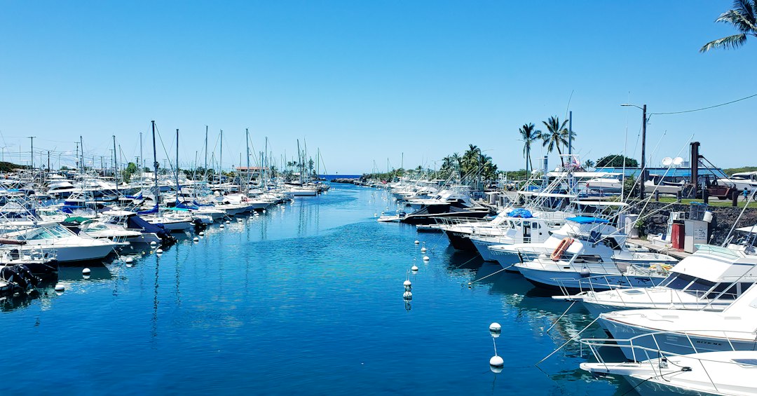 Small fishing boats docked in a Gulf Coast harbor