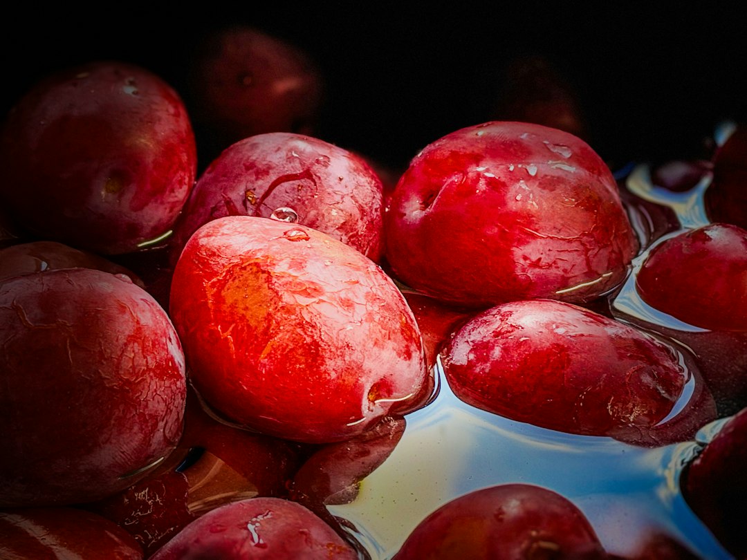 Red cranberries floating on dark harvest water