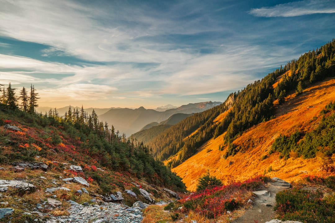 Fall hiking trail overlooking a colorful mountain valley