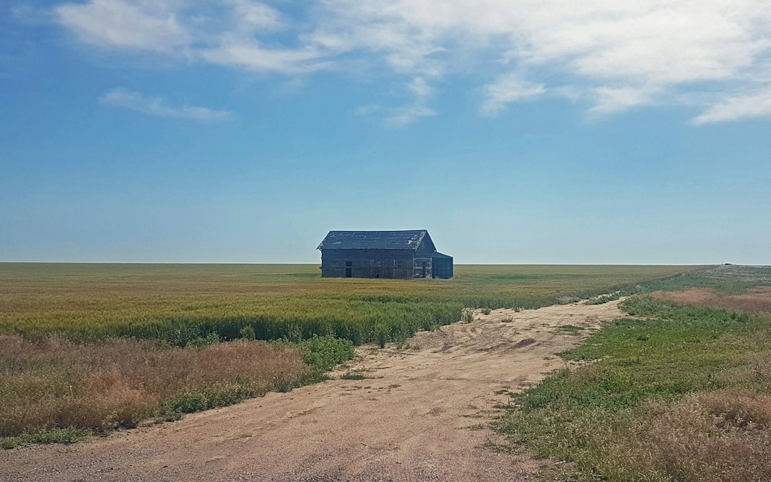 Weathered wooden ranch structure standing alone on open prairie