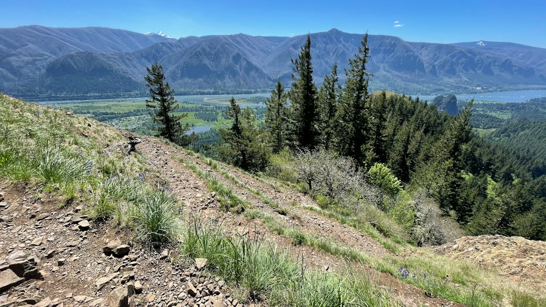Switchback trail climbing through fall terrain in the mountains