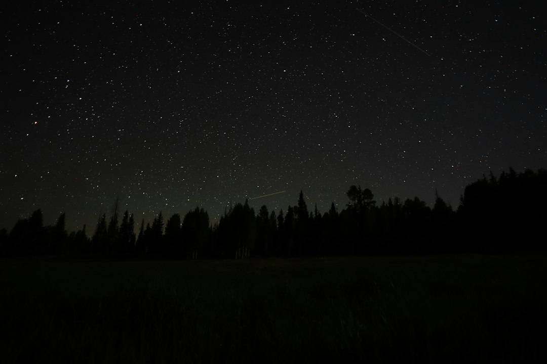 Campsite under a brilliant night sky far from any city lights