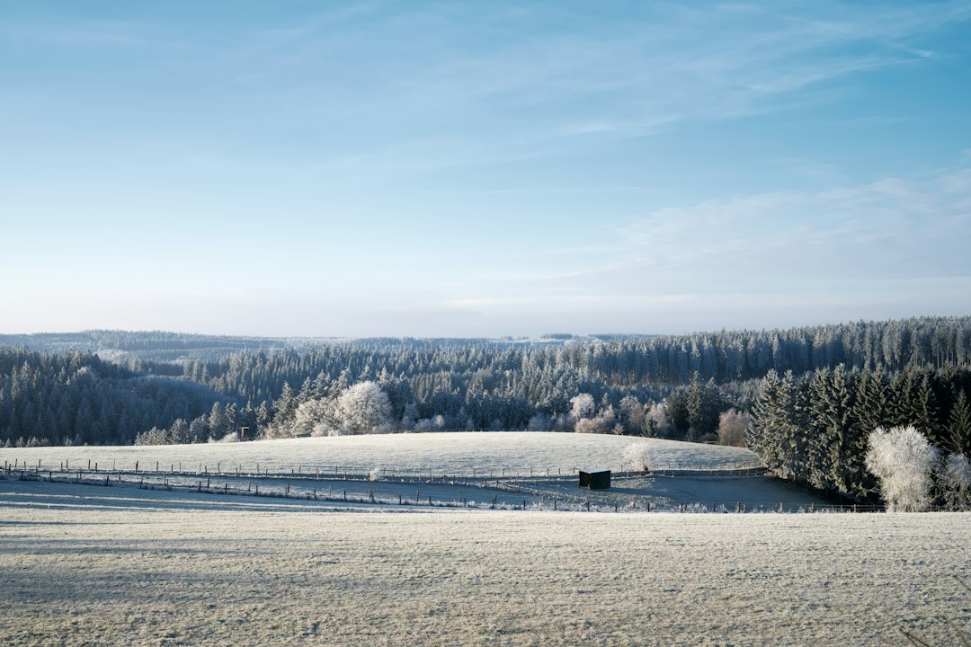 Frosted hills and forest on a cold October morning