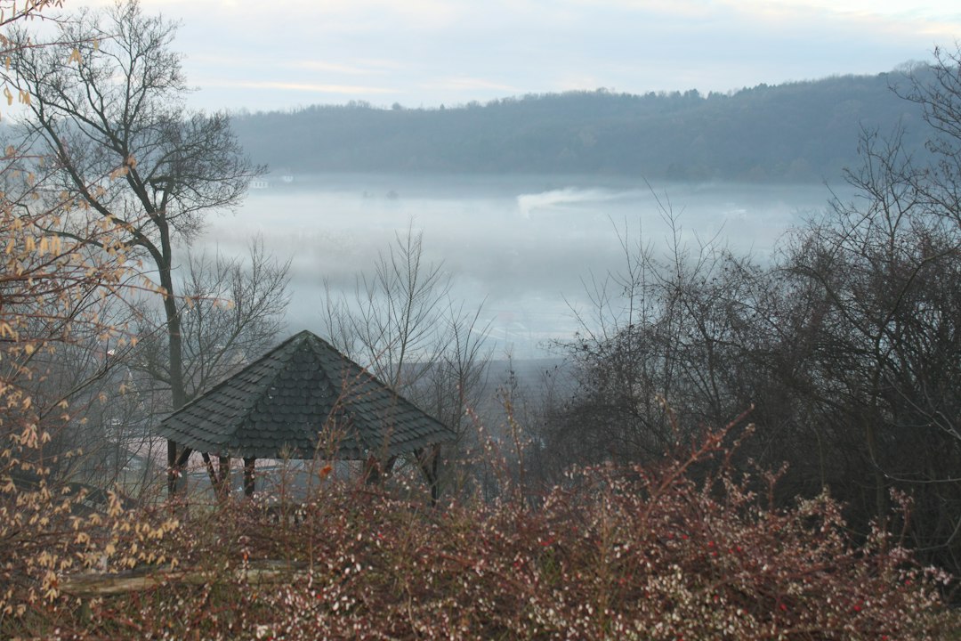 Morning fog pouring through an autumn river valley at dawn